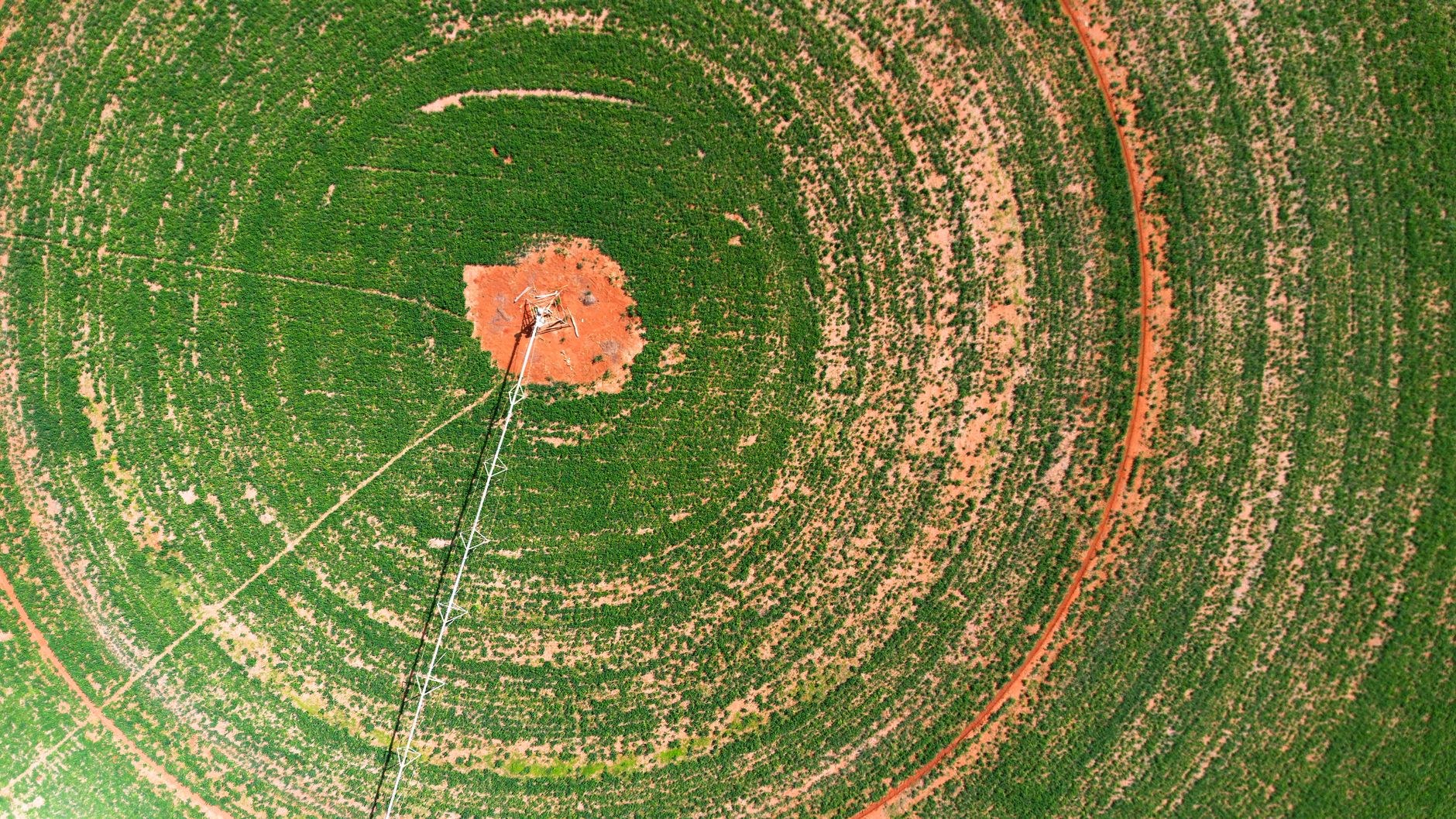 Drone shot of a green circular crop field with central irrigation system.